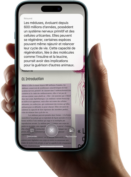 Une main tient un iPhone 16 qui affiche les résultats d’une recherche effectuée avec l’intelligence visuelle.