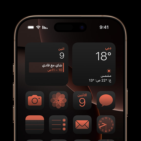 شاشة ريتنا سوبر XDR على iPhone 16 Pro من تيتانيوم صحراوي