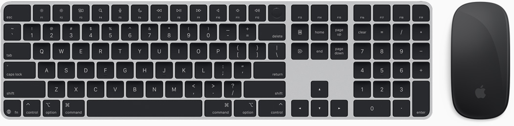 Vista superior del Magic Keyboard y el Magic Mouse