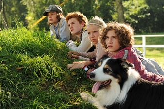 Szenenbild Hardy (Kristo Ferkic), Julian (Quirin Oettl), Anne (Neele Marie Nickel), George (Valeria Eisenbart) und Timmy observieren den Wanderzirkus � 2012 Constantin Film Verleih GmbH / Bernd Spauke