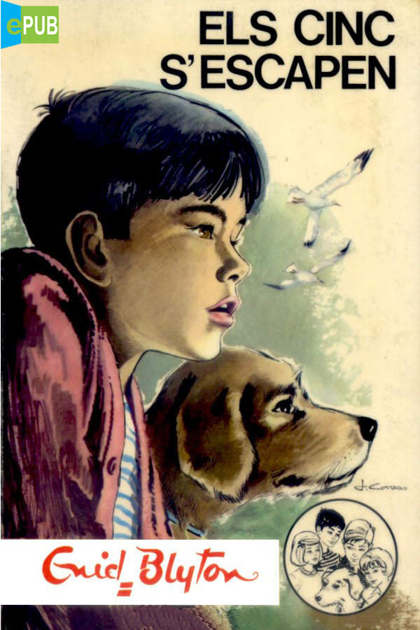 katalanisches Buchcover: "Els Cinc s