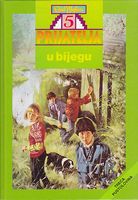 Bosnian bookcover: "Pet prijatelja u lovu na dragulje"