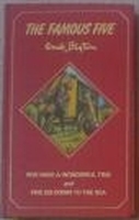 englisches Buchcover: "Five have a wonderful time"