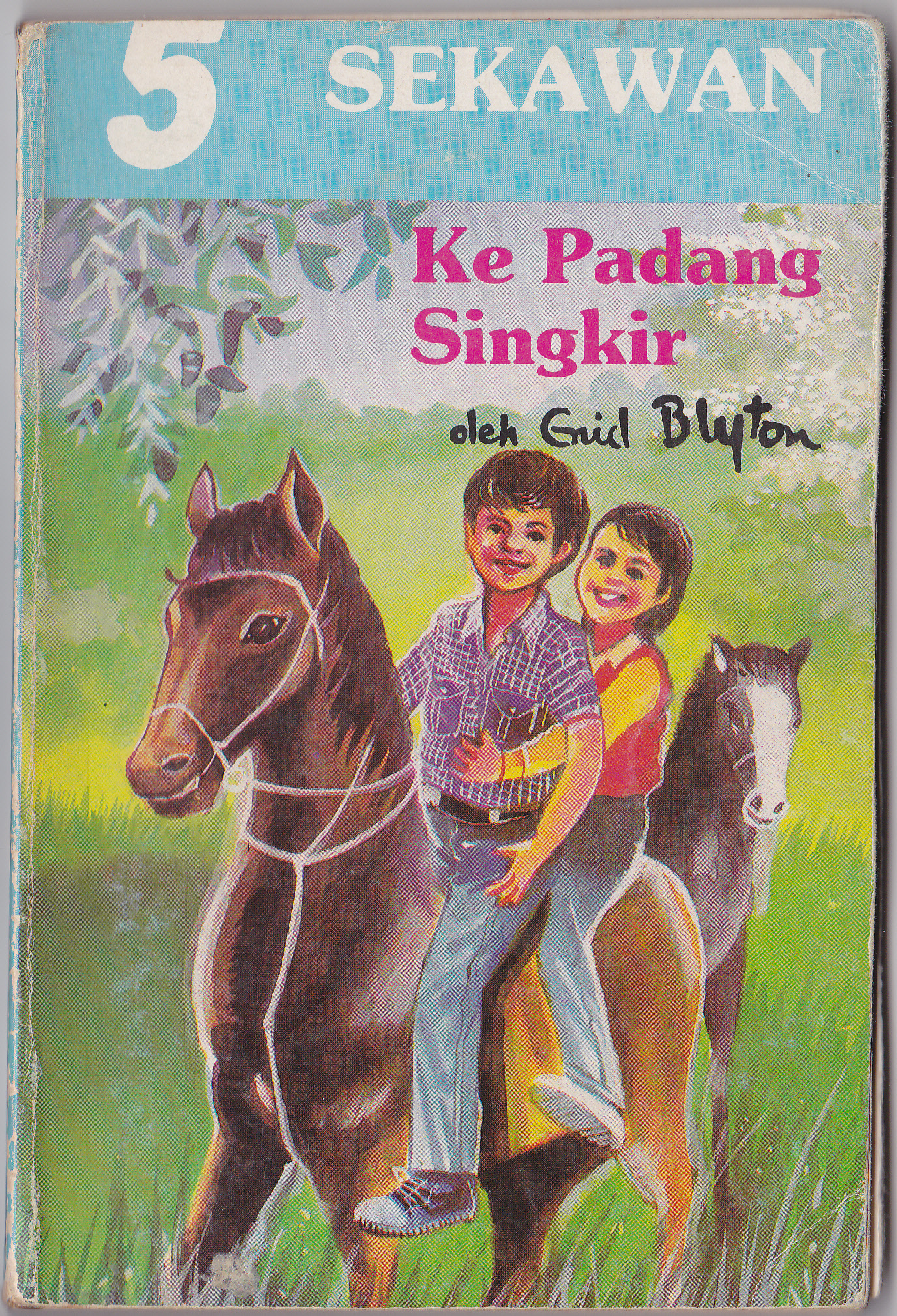 malaiisches Buchcover: "5 Sekawan: Misteri Padang Singkir"