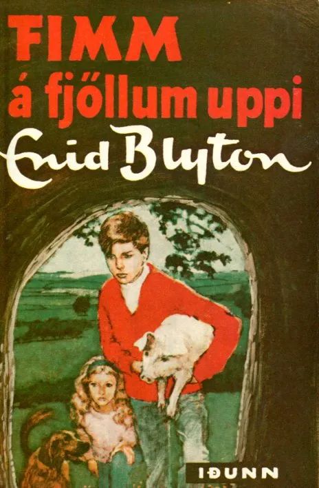 Isländisches Buchcover: "Fimm á fjöllum uppi"