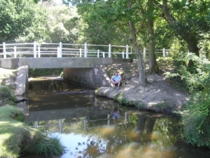 Foto Gatebridge, N�he Blackfield