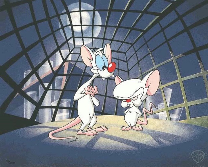 I protagonisti