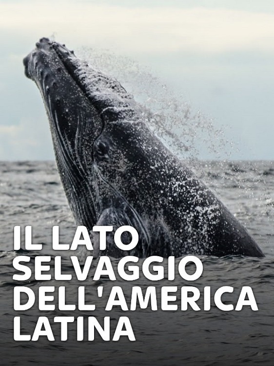 Locandina italiana