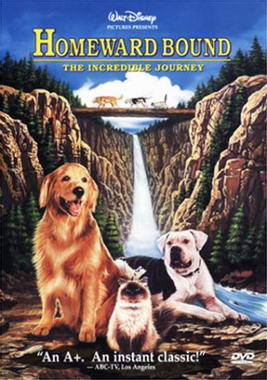 Copertina americana del DVD del film