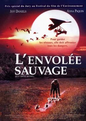 Manifesto francese del film