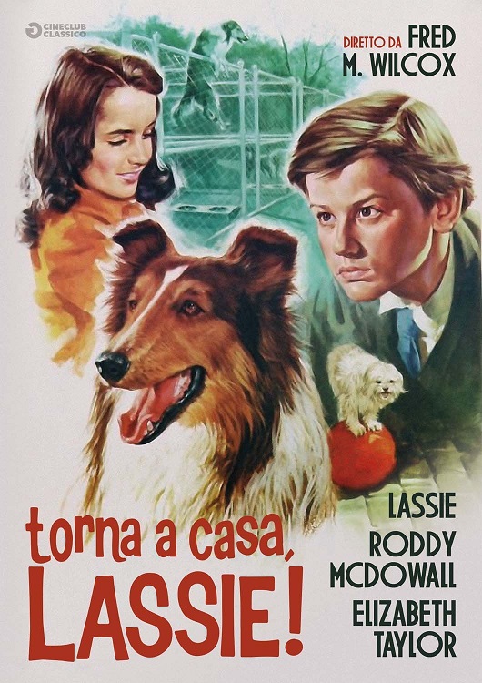 Manifesto italiano del film