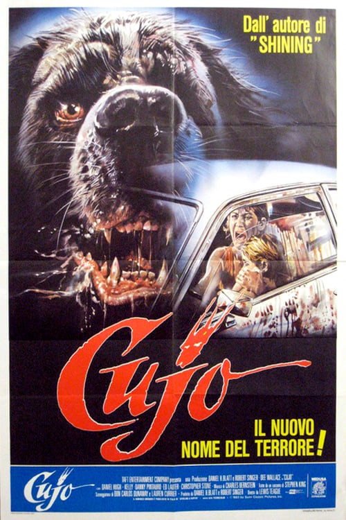 Manifesto italiano del film