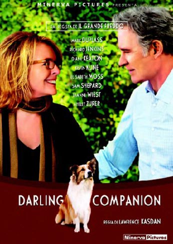 Copertina italiana del DVD del film