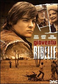 Manifesto italiano del film