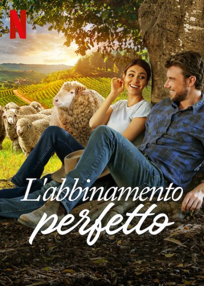 Manifesto italiano del film