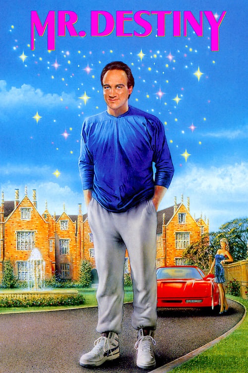 Manifesto italiano del film
