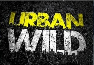 Logo originale