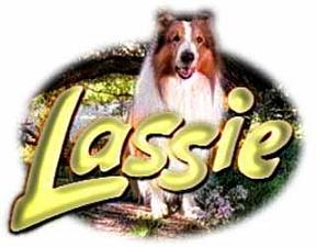 Logo e protagonista
