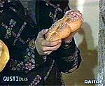 Pane