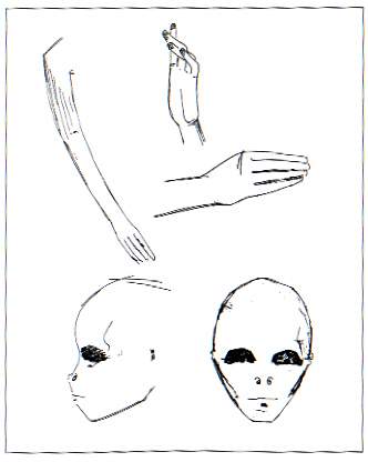 Disegno
