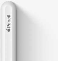 L’estremità superiore arrotondata di una Apple Pencil seconda generazione con incisi il logo Apple e la parola Pencil.
